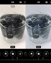 蓝莓视频app如何设置滤镜-蓝莓视频app怎样设置滤镜_wishdown.com 蓝莓视频app如何设置滤镜-蓝莓视频app怎样设置滤镜_wishdown.com