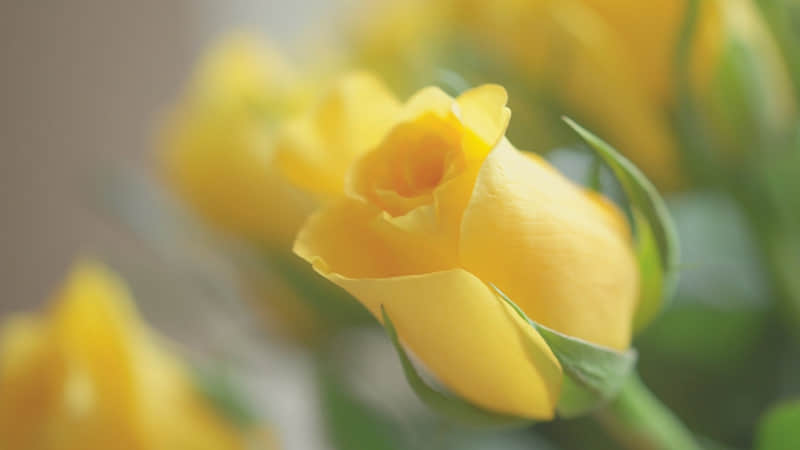 ��һ�䣬��������˲���Ʒ�??