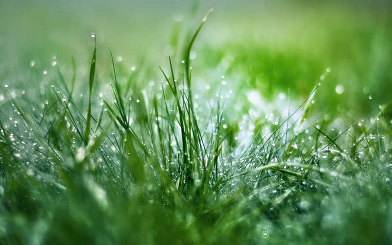 ����Ϊֹ��ϲ����΢���ö��İ�