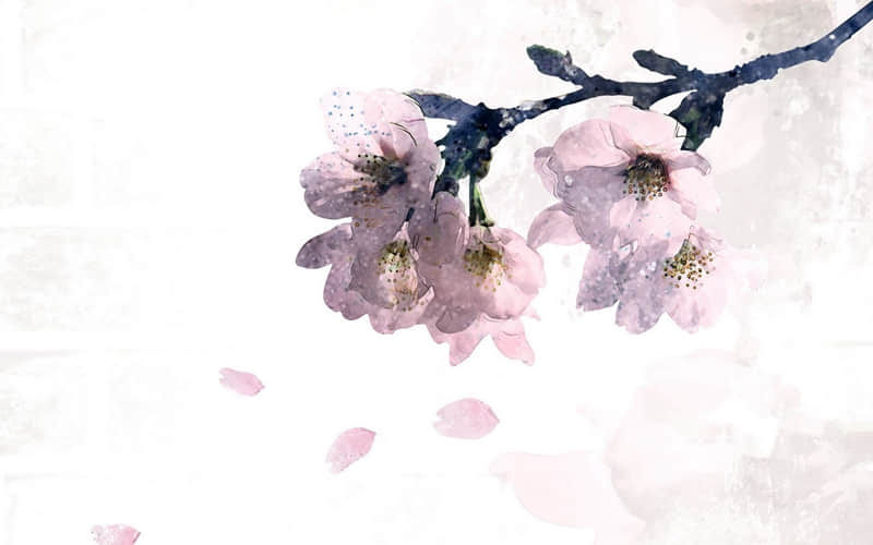 朋友圈这样发,清醒又治愈_wishdown.com 朋友圈这样发,清醒又治愈_wishdown.com