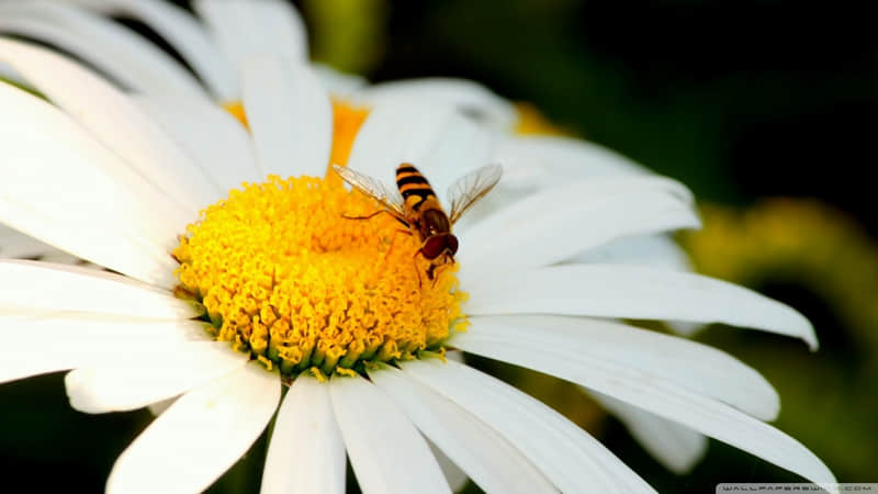 适合喝奶茶发的抽象文案,乐死你的朋友圈_wishdown.com 适合喝奶茶发的抽象文案,乐死你的朋友圈_wishdown.com