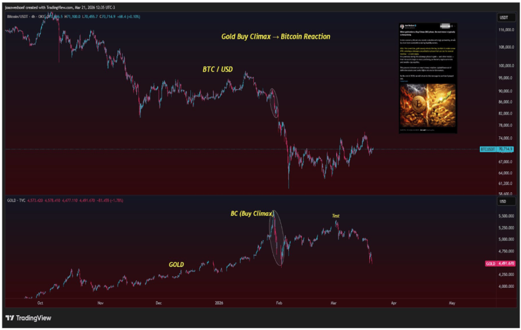 黄金的买入高潮正在上演,比特币或将为此付出代价_wishdown.com 黄金的买入高潮正在上演,比特币或将为此付出代价_wishdown.com