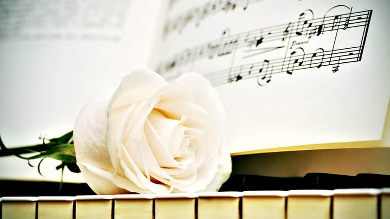 ??3.?? 今日惊蛰,惊蛰海报|朋友圈文案丨枯木逢春 万象新生_wishdown.com ??3.?? 今日惊蛰,惊蛰海报|朋友圈文案丨枯木逢春 万象新生_wishdown.com