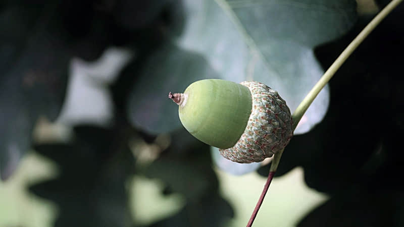 ??3.?? 今日惊蛰,惊蛰海报|朋友圈文案丨枯木逢春 万象新生_wishdown.com ??3.?? 今日惊蛰,惊蛰海报|朋友圈文案丨枯木逢春 万象新生_wishdown.com