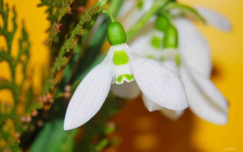 淡淡的日常主页短句文案_wishdown.com 淡淡的日常主页短句文案_wishdown.com