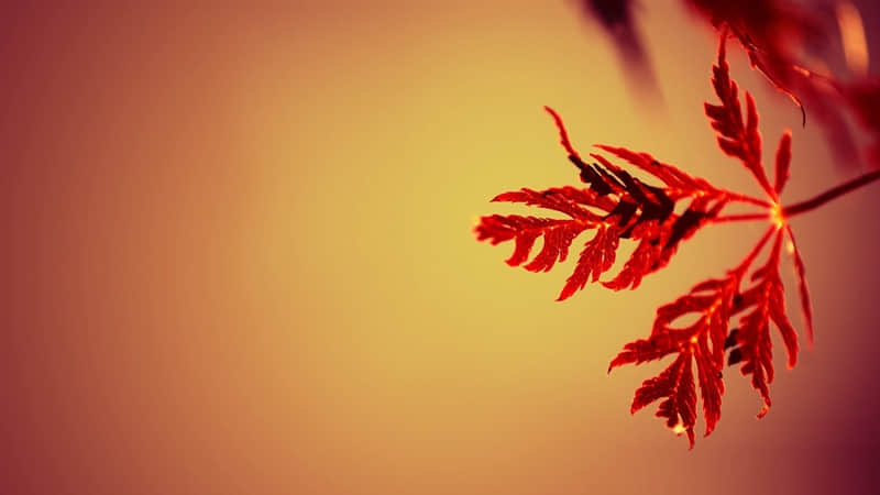 夫妻间忌讳的9句话,烂在肚子也不要说_wishdown.com 夫妻间忌讳的9句话,烂在肚子也不要说_wishdown.com