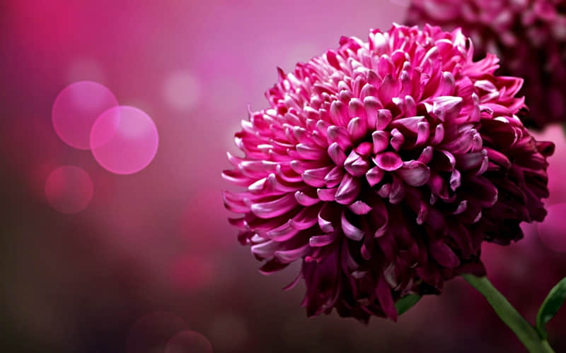 写给2026年的老己_wishdown.com 写给2026年的老己_wishdown.com