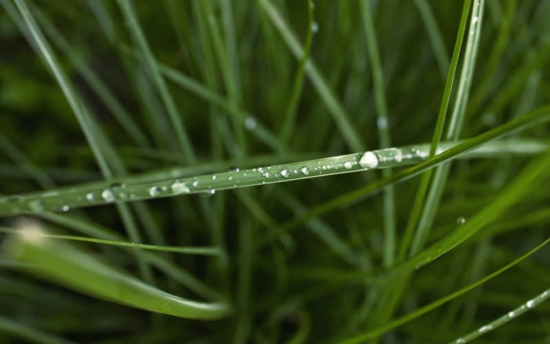 顶级清醒,句句杀疯_wishdown.com 顶级清醒,句句杀疯_wishdown.com