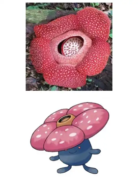 ������Pokopia��������ô��ļ