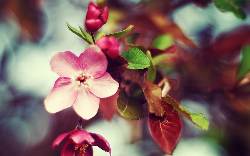 ��������Ȧ��̫�ио���