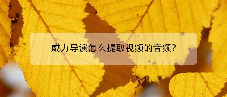 威力导演如何提取音频_wishdown.com 威力导演如何提取音频_wishdown.com