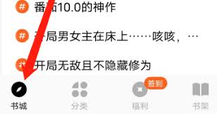 番茄小说怎么查看影视小说热门标签_wishdown.com 番茄小说搜索框使用示意