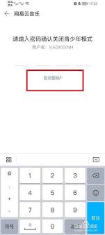 ����������������ģʽ������������һ�