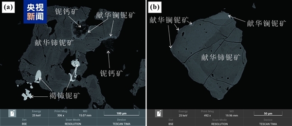 ���ɹ���һϡ���¿���������֤�������׻������