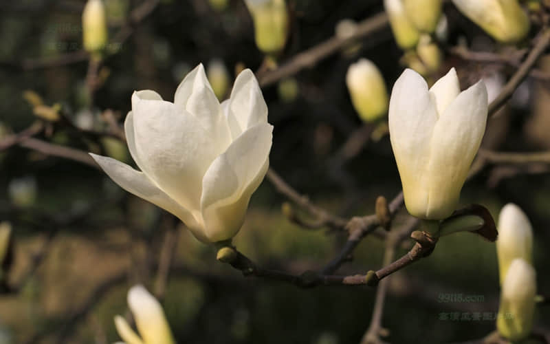 �о����ϵ�С�ڸ߼��İ�