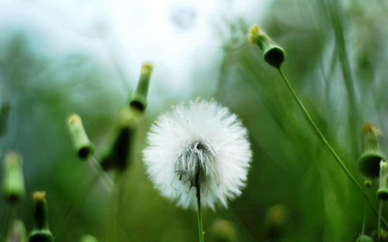 句子很伤,怕你撑不到第二句??_wishdown.com 句子很伤,怕你撑不到第二句??_wishdown.com