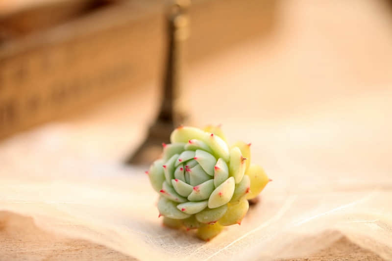 句子很伤,怕你撑不到第二句??_wishdown.com 句子很伤,怕你撑不到第二句??_wishdown.com