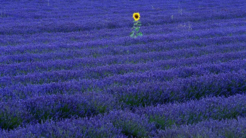 当今社会十大狠人,有没有你_wishdown.com 当今社会十大狠人,有没有你_wishdown.com