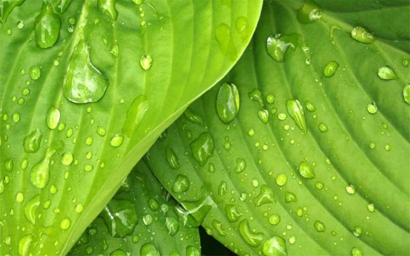 成年人的朋友圈,句句清醒,句句又杀疯!_wishdown.com 成年人的朋友圈,句句清醒,句句又杀疯!_wishdown.com