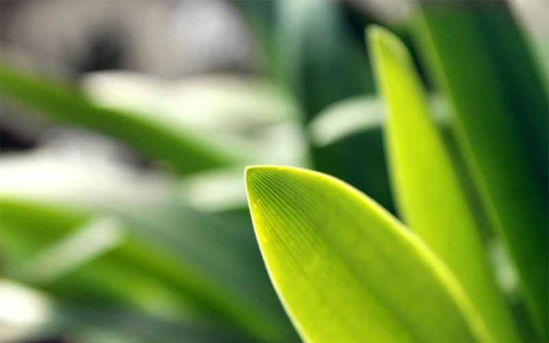 成年人的朋友圈,句句清醒,句句又杀疯!_wishdown.com 成年人的朋友圈,句句清醒,句句又杀疯!_wishdown.com