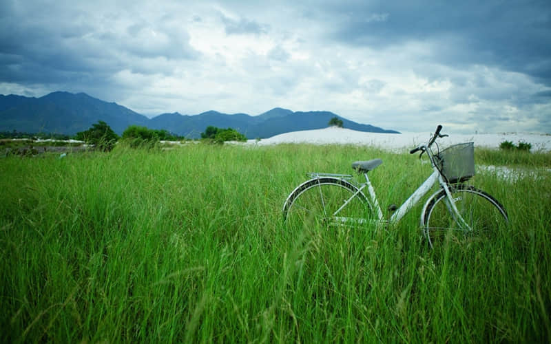 成年人的朋友圈,句句清醒,句句又杀疯!_wishdown.com 成年人的朋友圈,句句清醒,句句又杀疯!_wishdown.com