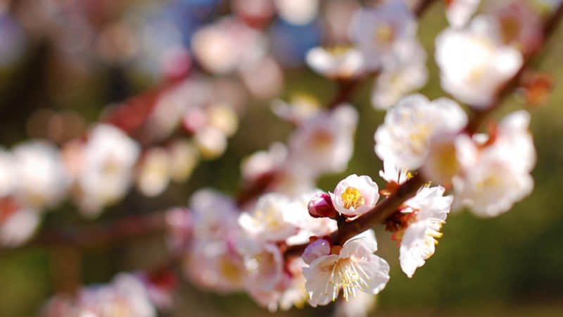 成年人的朋友圈,句句清醒,句句又杀疯!_wishdown.com 成年人的朋友圈,句句清醒,句句又杀疯!_wishdown.com