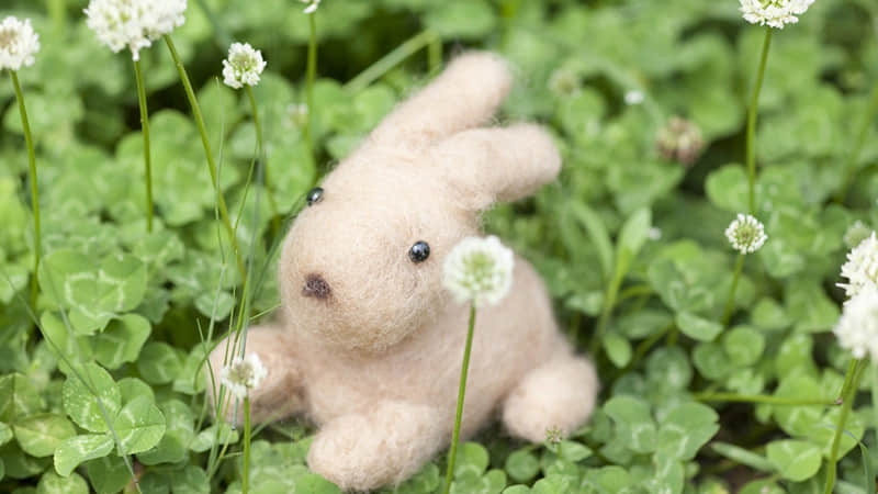 "存起来,够你发很久的朋友圈文案"??_wishdown.com "存起来,够你发很久的朋友圈文案"??_wishdown.com