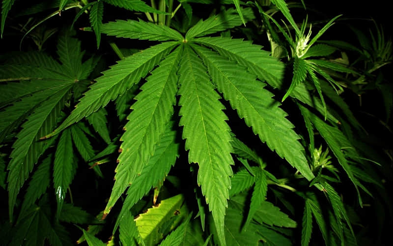 说透感情,字字清醒的句子_wishdown.com 说透感情,字字清醒的句子_wishdown.com