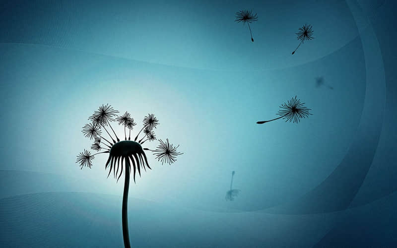 说透感情,字字清醒的句子_wishdown.com 说透感情,字字清醒的句子_wishdown.com