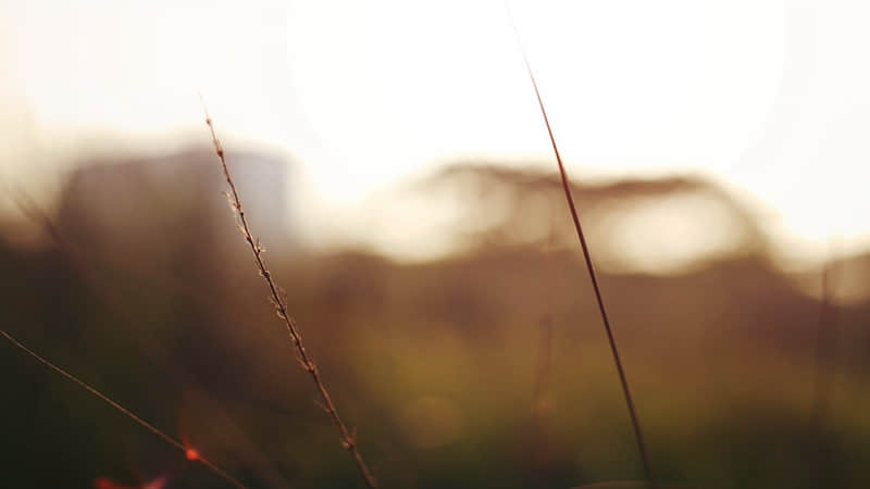 背下来,吵架直接????对方_wishdown.com 背下来,吵架直接????对方_wishdown.com