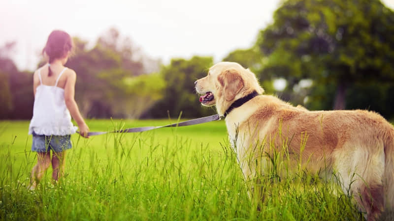 不用吵架,用这句话让他心软_wishdown.com 不用吵架,用这句话让他心软_wishdown.com