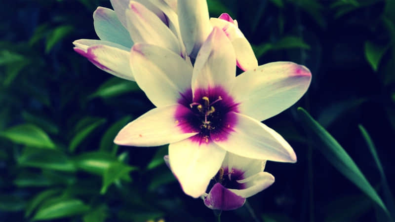 ���ŷ����������Ȧ�ᱻ����