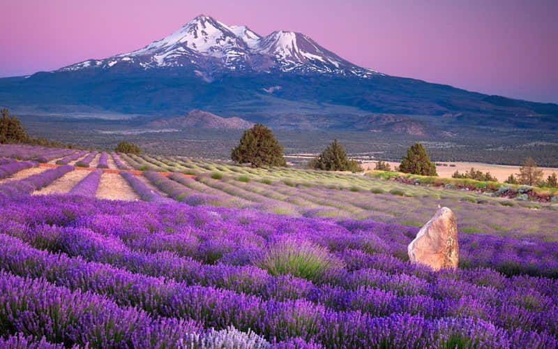 ???????? ??老己,挑一句,赠予自己??_wishdown.com ???????? ??老己,挑一句,赠予自己??_wishdown.com