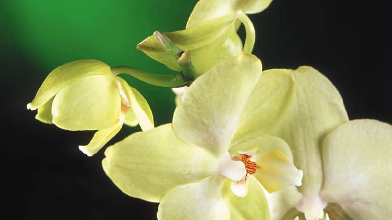 ???????? ??老己,挑一句,赠予自己??_wishdown.com ???????? ??老己,挑一句,赠予自己??_wishdown.com