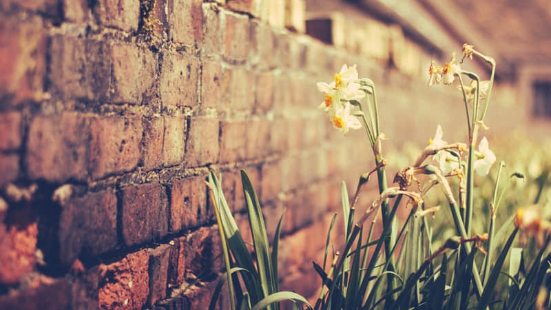 ��8�����ϣ��ͽ���