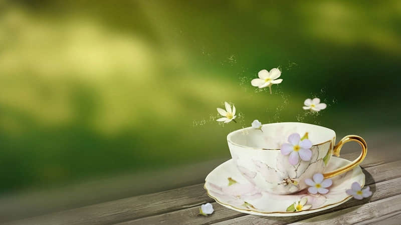 2026,任何时候都能发的随性文案_wishdown.com 2026,任何时候都能发的随性文案_wishdown.com