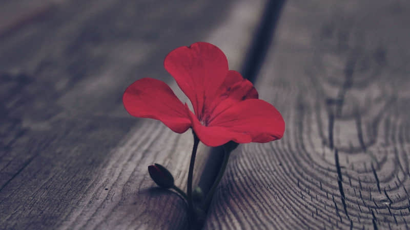 ???够你发很久的??朋友圈文案??_wishdown.com ???够你发很久的??朋友圈文案??_wishdown.com