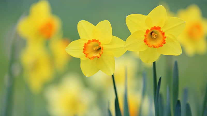 ����������Ȧ��ֻ����������