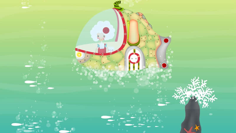 �����İ��� ���������˿�ֻ�����µ�