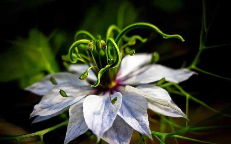 "������ ������ֱ��????�Է�"