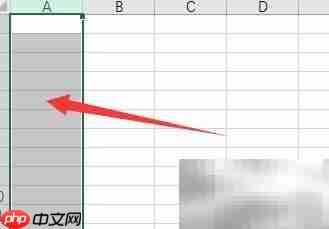 Excel���ı���ʽ��ʲô