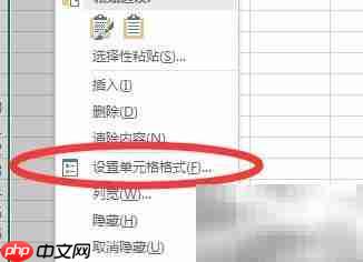 Excel中文本格式是什么
