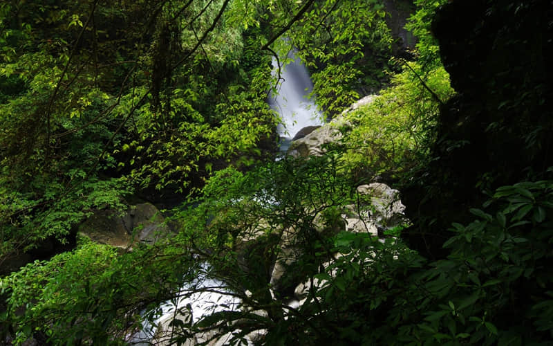 句句都不黄,句句都很撩??_wishdown.com 句句都不黄,句句都很撩??_wishdown.com