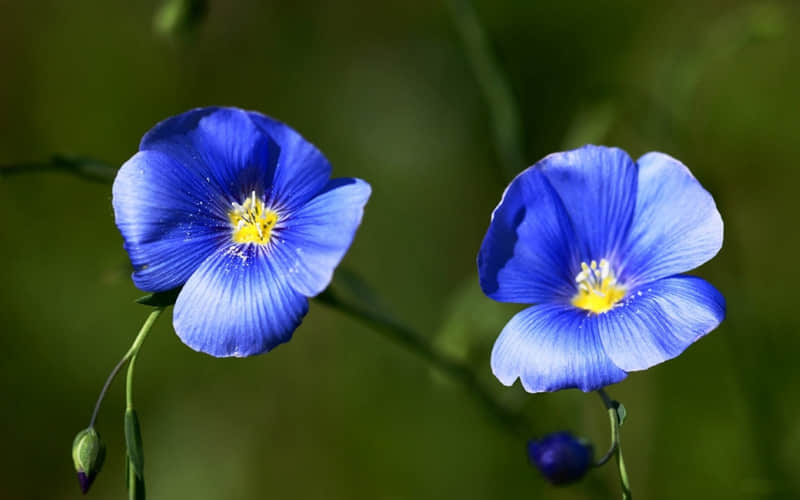 改一个花系微信昵称??,好听到爆_wishdown.com 改一个花系微信昵称??,好听到爆_wishdown.com