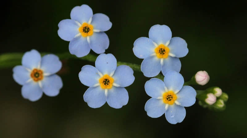 ????????,赌你不敢发朋友圈的文案_wishdown.com ????????,赌你不敢发朋友圈的文案_wishdown.com