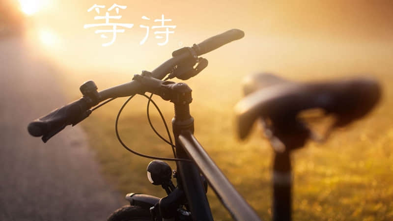 ????????,赌你不敢发朋友圈的文案_wishdown.com ????????,赌你不敢发朋友圈的文案_wishdown.com