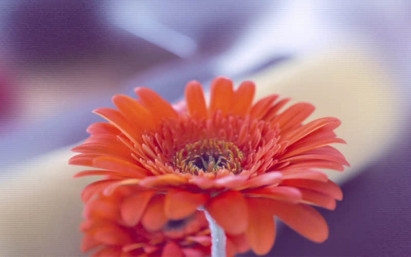 "????????,第一眼就很喜欢的短句文案"_wishdown.com "????????,第一眼就很喜欢的短句文案"_wishdown.com