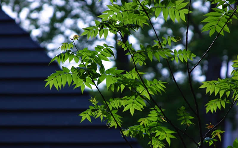 救命,好喜欢这句文案??_wishdown.com 救命,好喜欢这句文案??_wishdown.com