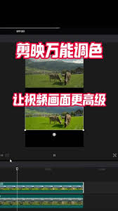 剪映怀旧滤镜教程_wishdown.com 剪映怀旧滤镜教程