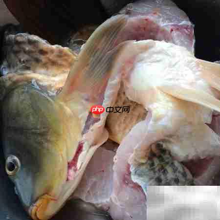 旺顺阁鱼头泡饼做法